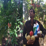 مزرعه