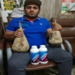 مزرعه