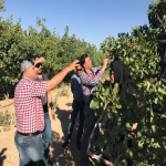 بازدید کارشناسان