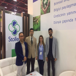 نمایشگاه