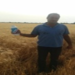 مزرعه