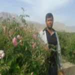 مزرعه