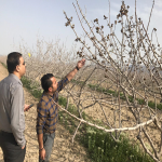 بازدید کارشناسان