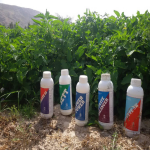 مزرعه